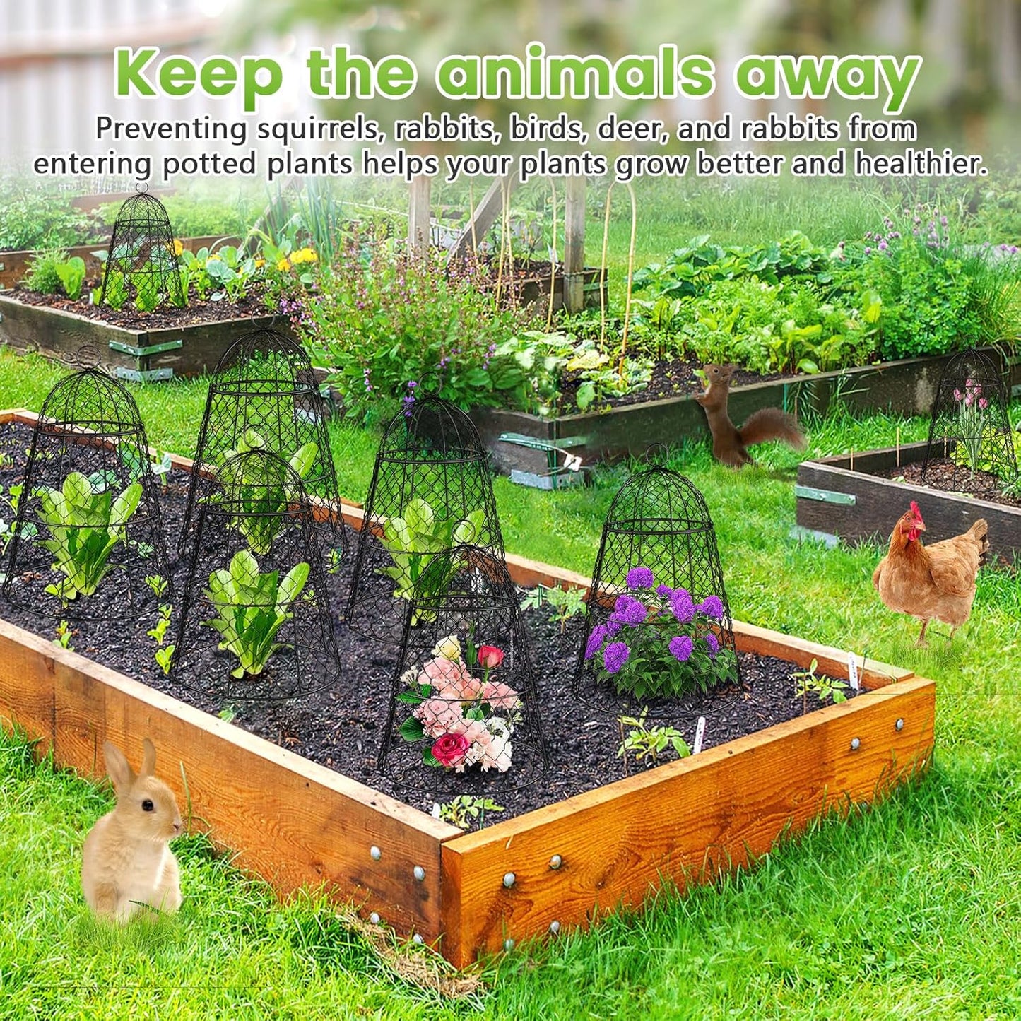 6 Pcs Garden Cloches for Plants, Metal Extra Large Chicken Wire Cloche Plant Covers, Garden Netting Plant Protectors from Animals to Keep Squirrel, Rabbit, Chicken and Bird Out 17" H x 13" D Black