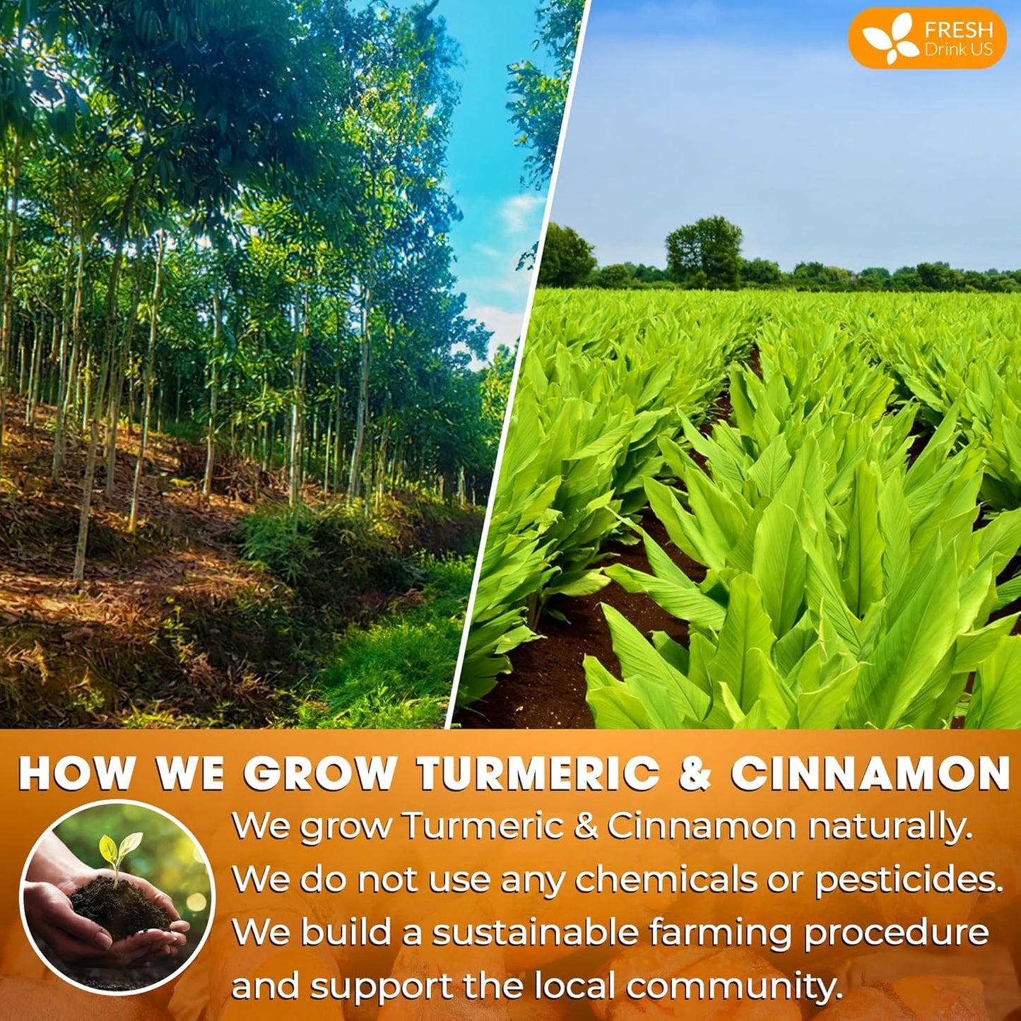 FreshDrinkUS, Premium 135 Turmeric Cinnamon Tea Bags, 100% Natural, Blend of Turmeric, and Cinnamon. Made with Natural Material Tea Bags. No Sugar. No Caffeine. Vegan.