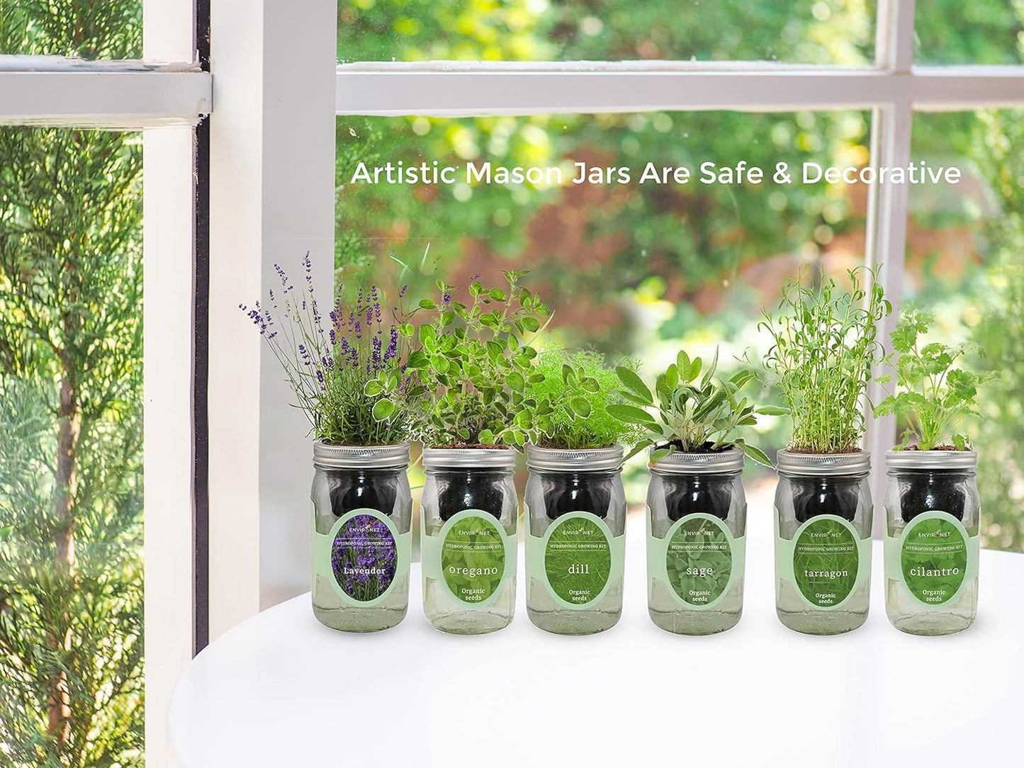 Hydroponic Herb Growing Kit Set, Self-Watering Mason Jar Herb Garden Starter Kit Indoor, Windowsill Herbs Garden, Grow Your Own Herbs from Organic Seeds (Basil, Cilantro and Parsley)