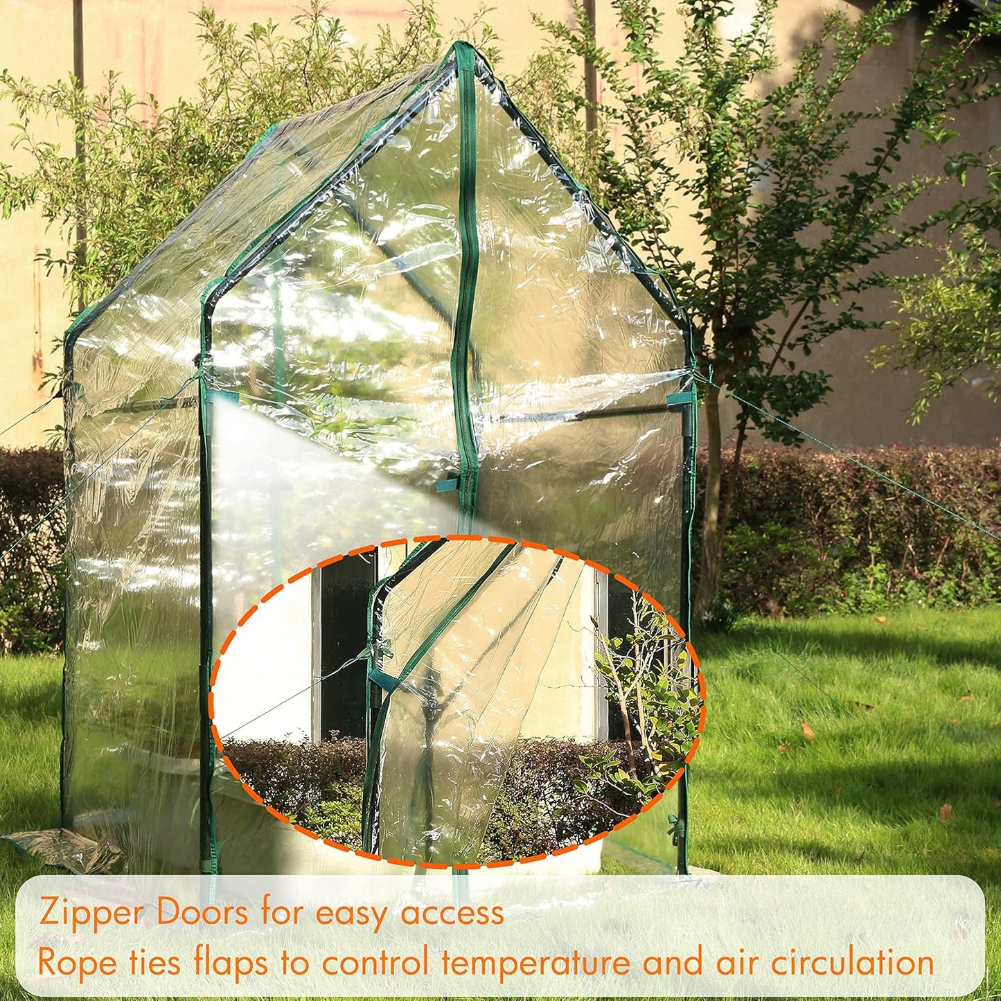 Gardzen Mini Greenhouse Heavy Duty Portable Green House, Clear Tent Small Greenhouse for Indoor Outdoor Plants 36.2”(L) x36.2”(W) x59.5”(H)
