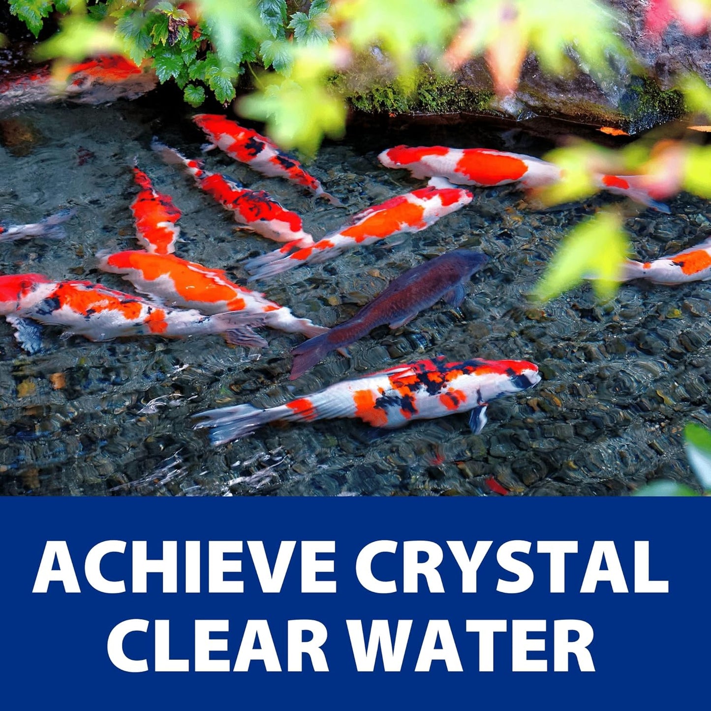 The Pond Guy AllClear G2 Bio Pressure Filter & Ultraviolet Light Clarifier with Backflush System, Pressurized External UVC Biological & Mechanical Filtration, Koi Fish Water Garden, All Clear 2000