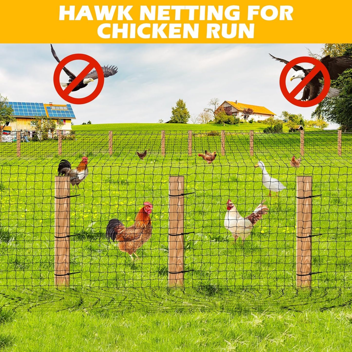 Bird Netting 25'x100' with 2.4" Square Mesh Chicken Coop Nettings, Poultry Netting Heavy Duty Nylon Nettings, Hawk Net for Chicken Run, Deer Fence Garden Fruit Tree Net