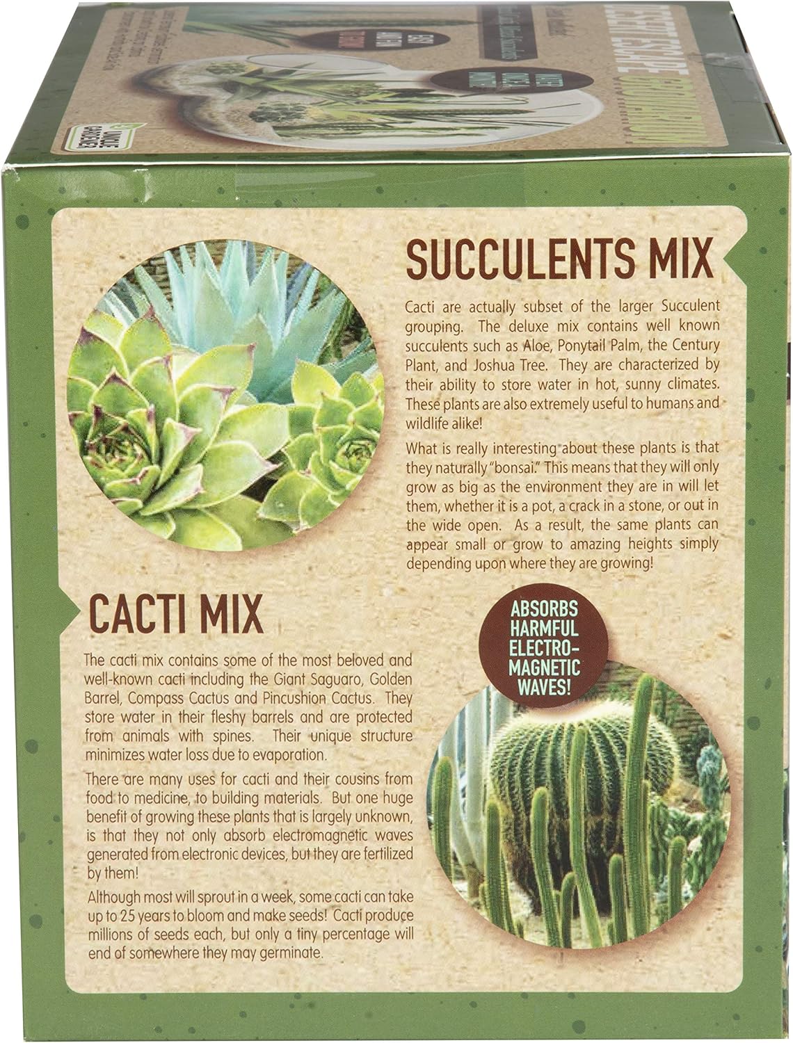 Grow Your Own Desert Escape in A Quality Glass Terrarium Starter Kit with Complete Supplies - Easy to Maintain Indoor Cacti and Succulents - Over A Dozen Desert Plants That Will Last for Years!