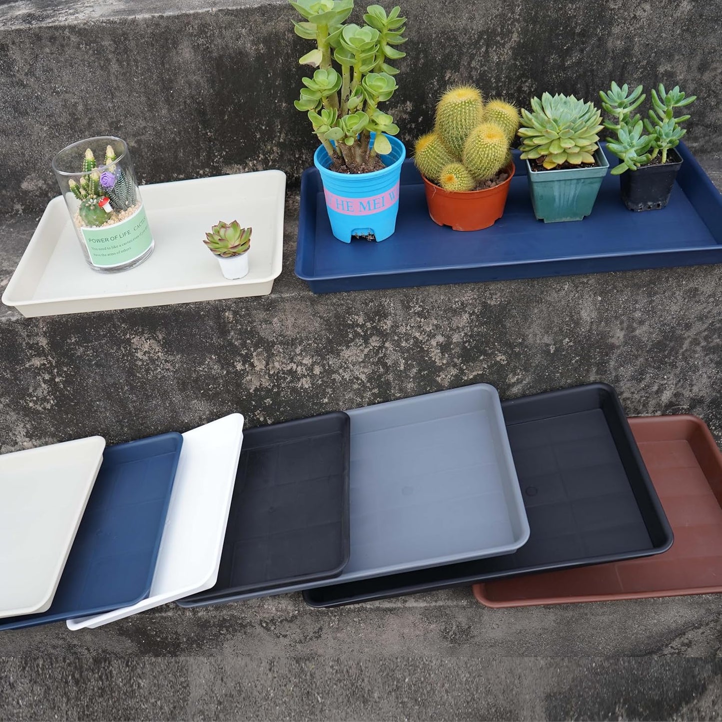 Plant Saucer Growing Tray, Seed Starter Tray Rectangular, Heavy Sturdy Plastic Plant Drainage Saucers, Plant Drip Trays for Pots, Seed Starter Growing Trays (11 x 9 inch, 6 Pack)