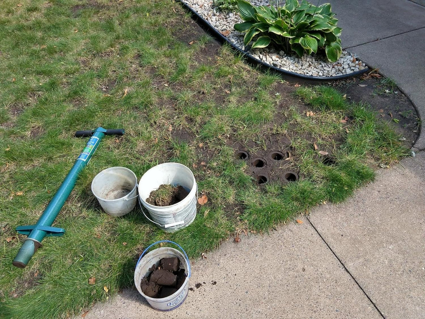 Edward Tools 5 in 1 Long Handle Garden Tool - Sturdy Steel Pro Grade Bulb Planter, Long Handle Weeder, Sod Plugger, Soil Probe, Transplanter - Step, Twist, Pull - Multi Depth Options