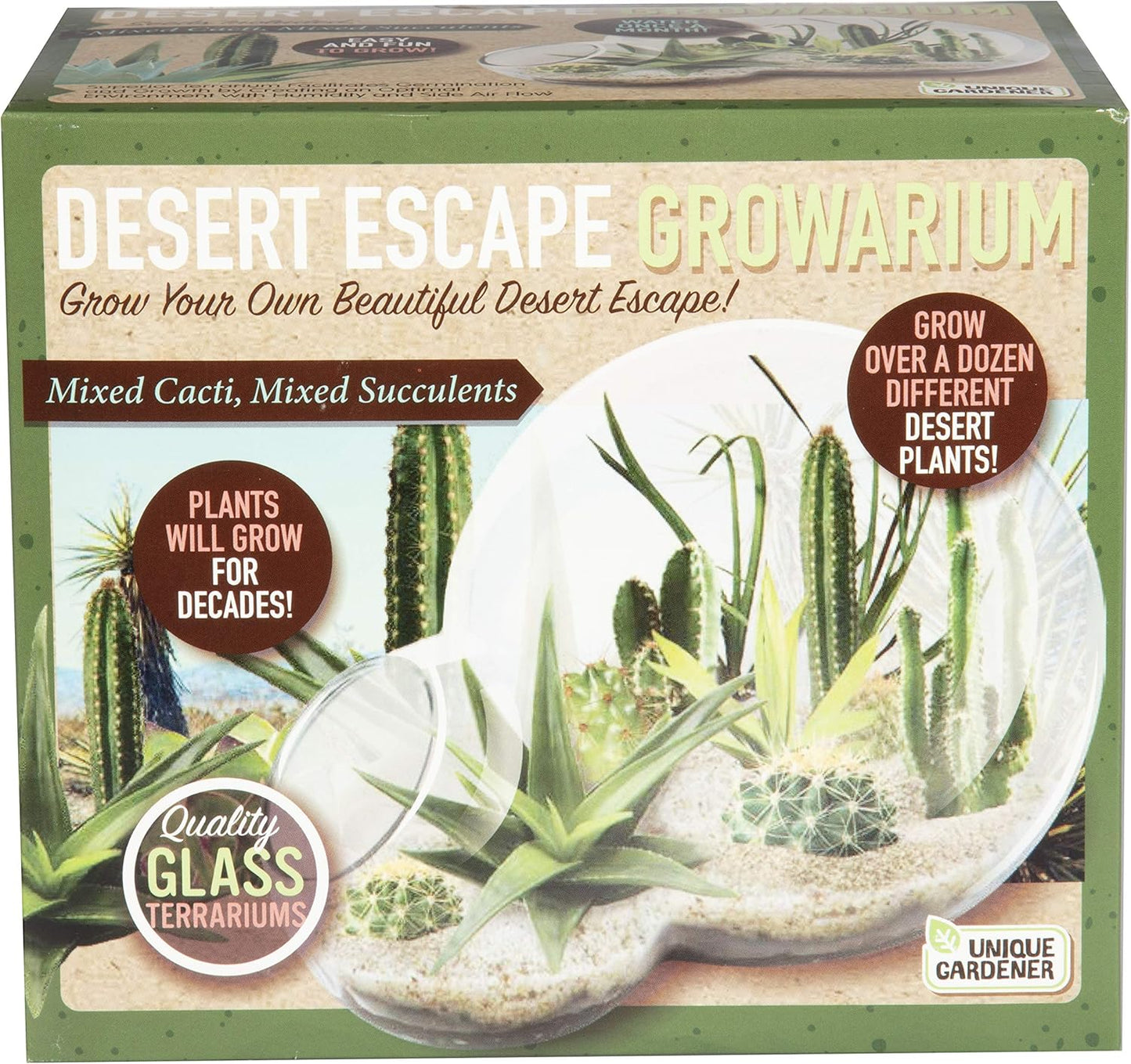 Grow Your Own Desert Escape in A Quality Glass Terrarium Starter Kit with Complete Supplies - Easy to Maintain Indoor Cacti and Succulents - Over A Dozen Desert Plants That Will Last for Years!