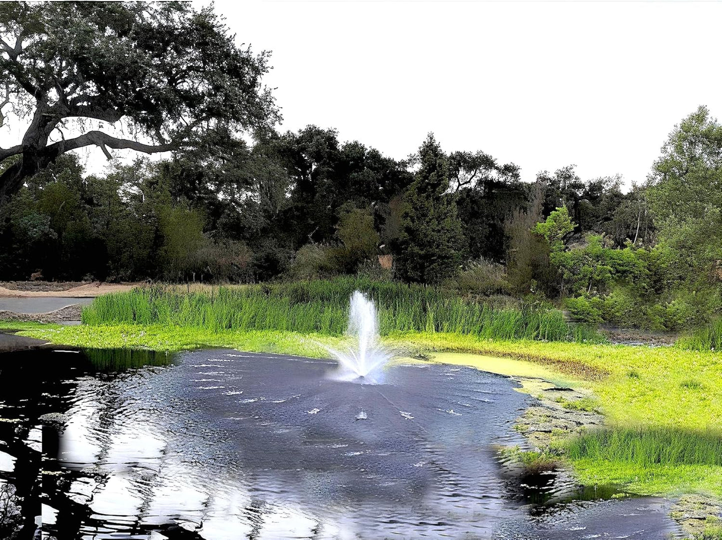 Custom Pro FT 14000 Floating Pond Fountain and Aerator Complete Kit with 14,000 GPH Pump, 100 Foot Power Cord, 3 Spray Styles | 100% US-Based Customer Service and Warranty