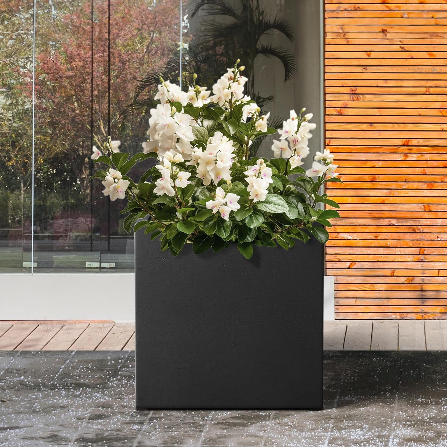 Kante 10 Inch Square Concrete Planter for Outdoor Indoor Home Patio Garden, Large Plant Pot with Drainage Hole and Rubber Plug, Black