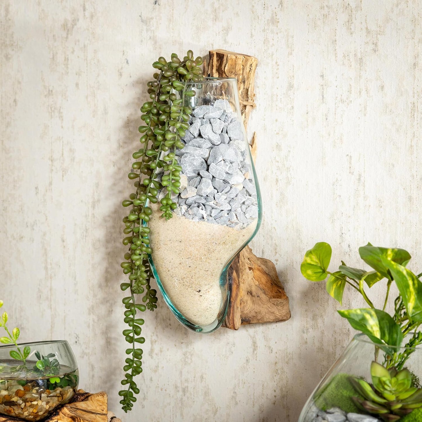 Cape Craftsmen Wall Mounted Molten Glass Hanging Terrarium on Driftwood, Indoor Wall Planter Vase on Wood, Propagation Station for Hydroponics Plants, Succulent Pot