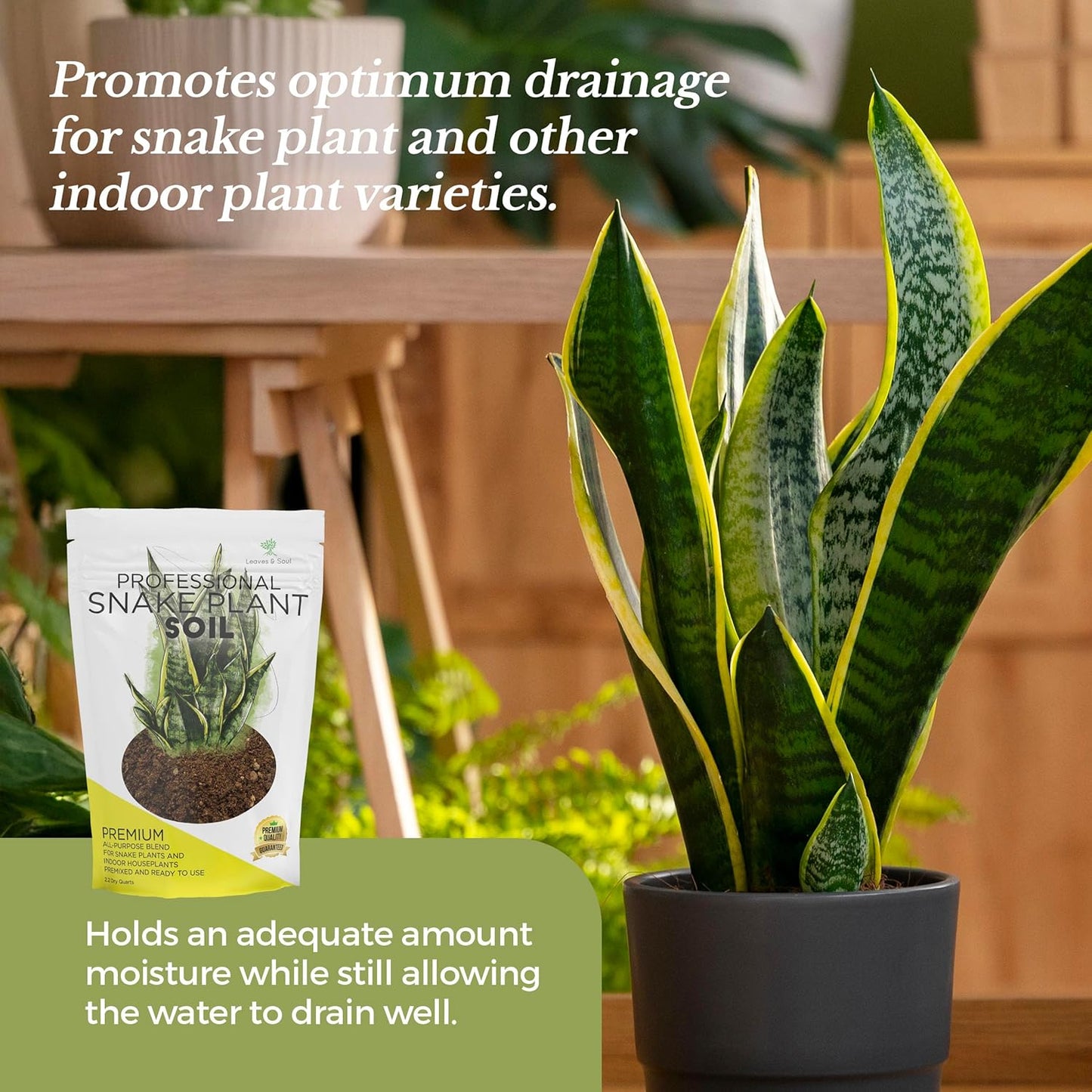 Professional Snake Plant Soil | Large 2.2 Quarts Ready to Use for Snake Plants | Peat Moss, Coco Coir, Perlite, Dolomite | Made in USA