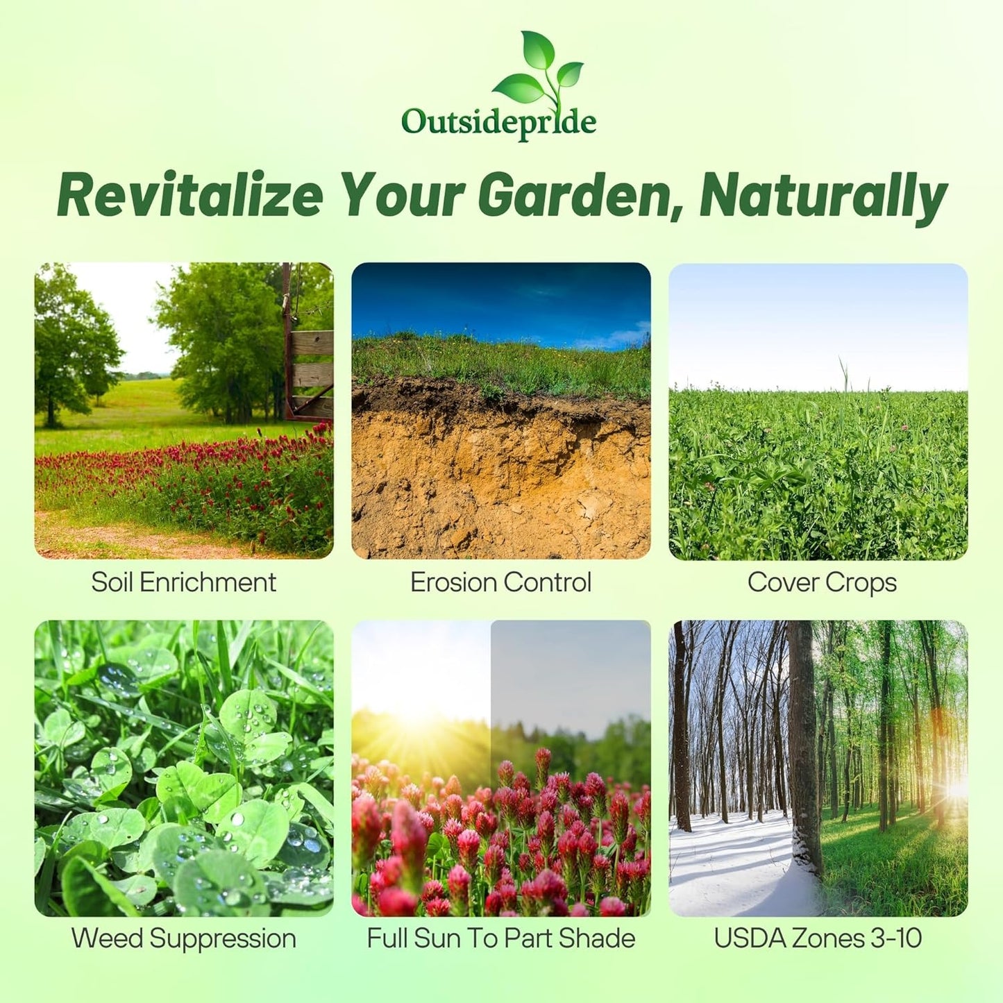 Outsidepride Gardenway Cover Crop Seeds - 50 lbs Fast Growing, Easy to Establish, Nutrient-Rich Mix for Soil Health & Home Gardens - Mixture of Triticale, Peas, Vetch, Annual Ryegrass, Crimson Clover