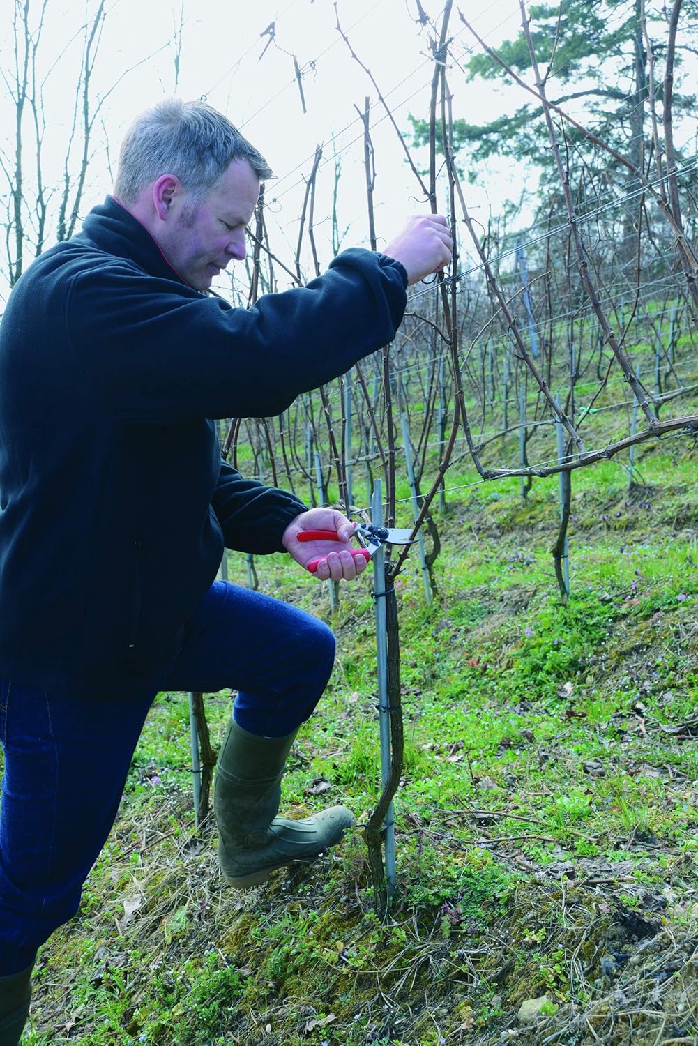 Felco F17 Pruning Shears – 7.9" Garden Clippers with Revolving Handle for Left-Handed Users | Hand Pruners for Gardening | Garden Tool Cutter with Forged Aluminum Body, Bypass & Anvil Blades