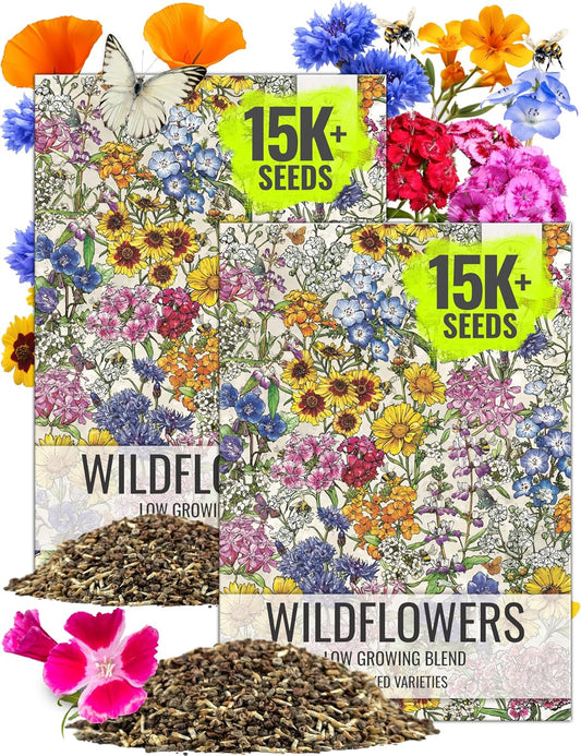 Seed Needs Low Growing Wildflower Flower Seeds for Planting | 2 Packs (1 Ounce Each) Mixture/Blend 17 Varieties | Resealable Package Multicolored Blooms Open Pollinated Mixed Species | Bulk