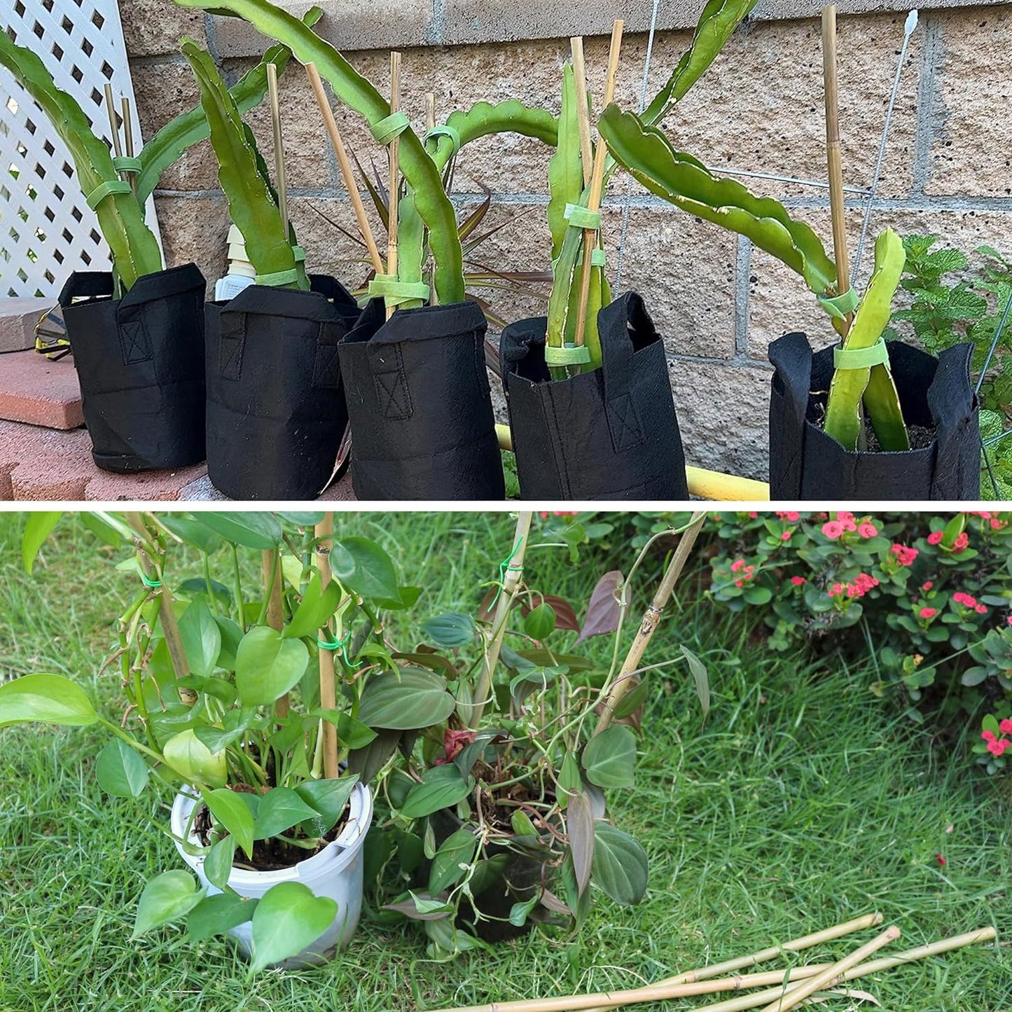 50Pcs / 3ft Bamboo Plant Stakes for Indoor Outdoor Plants, Garden Plant Support Sticks, Poles for Tomato Vegetables Beans Trees Potted Climbing Plants(0.32''-0.4'')