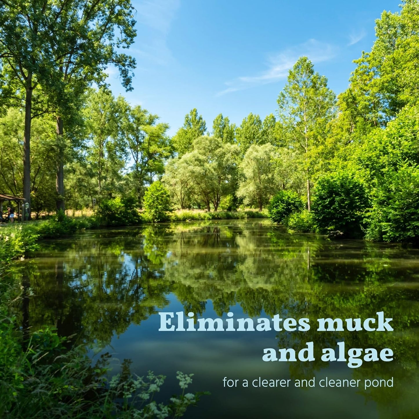 Pond and Lake Treatment – 1 Gallon