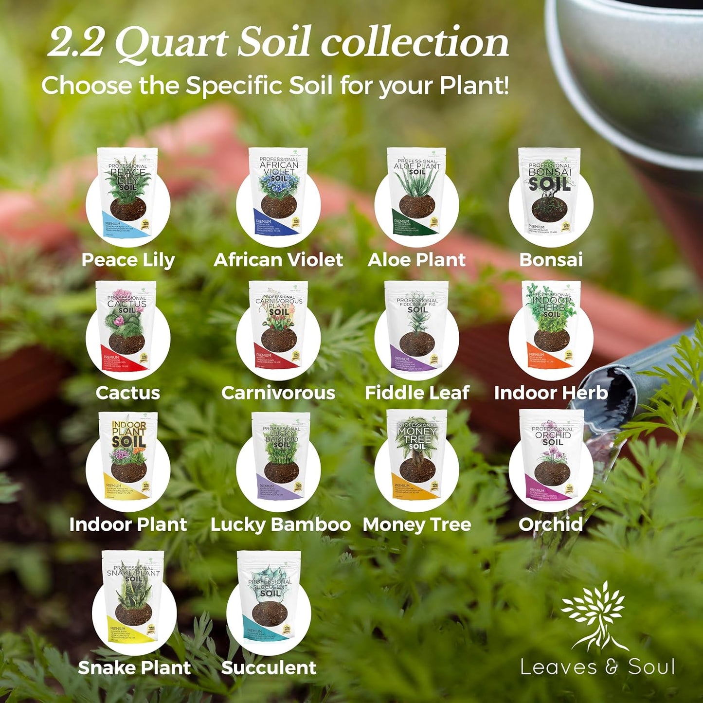 Professional Peace Lily Soil | Large 2.2 Quarts Ready to Use for Peace Lily Plants | Peat Moss, Coco Coir, Perlite, Dolomite | Made in USA