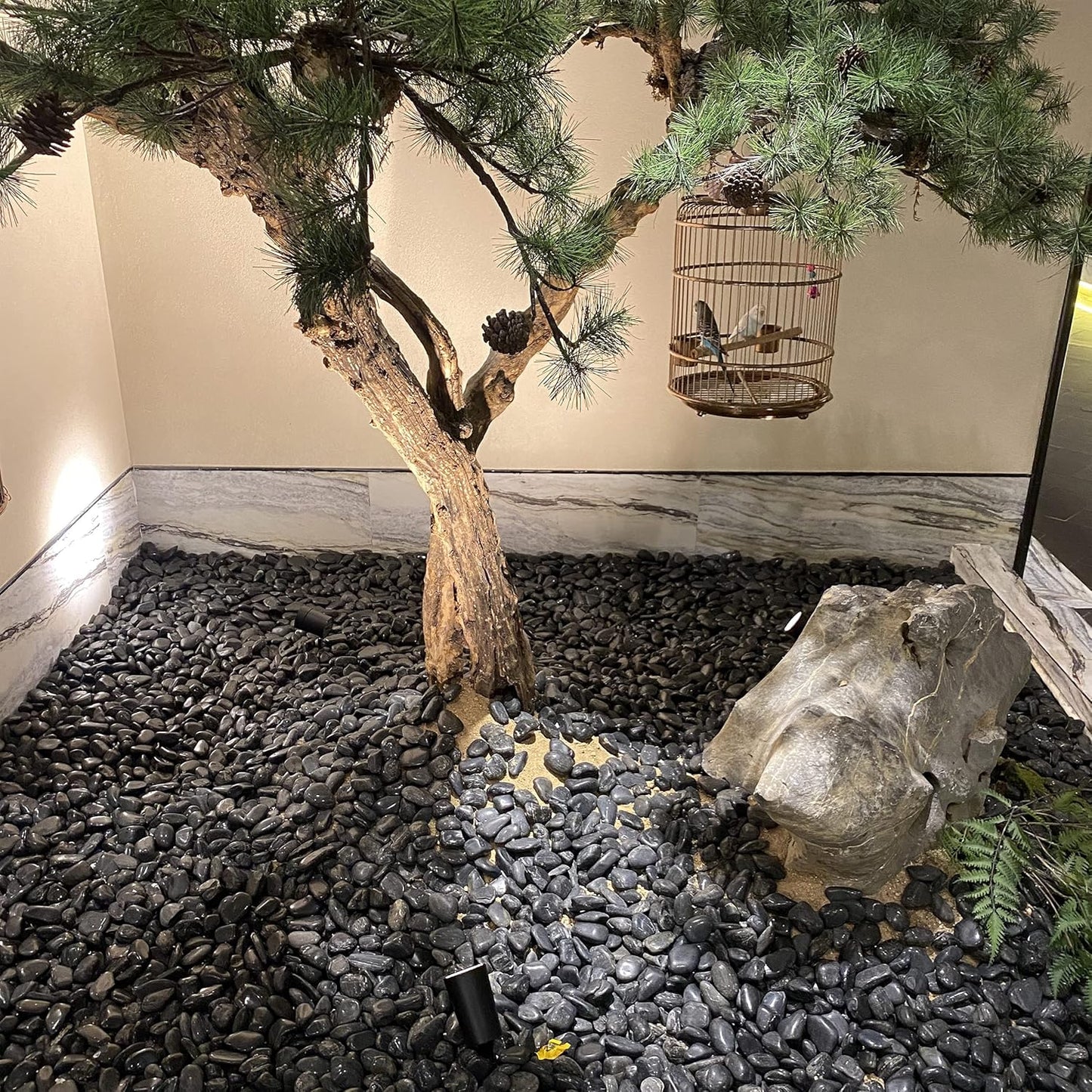 40 lbs Black River Rocks for Landscaping, 2-3 inch Pebbles for Indoor Plants, Large Decorative Stones for Planters Aquarium Fish Tank and Garden Rocks